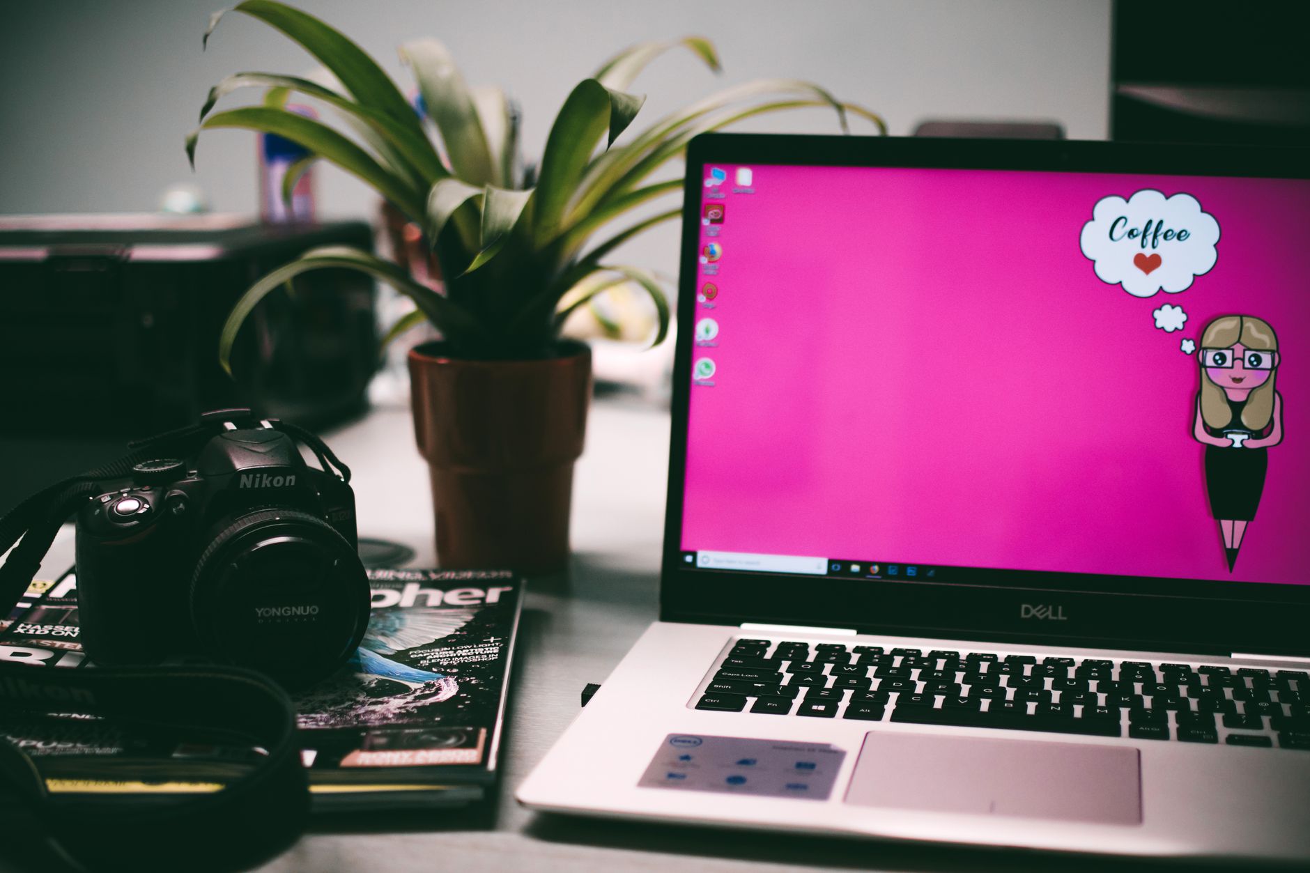 A neat workspace featuring a laptop, camera, and plant for a creative setup.